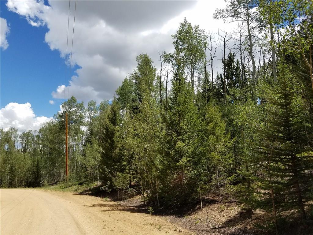 986 Osprey Road Como, CO 80432 - Photo 3 of 12