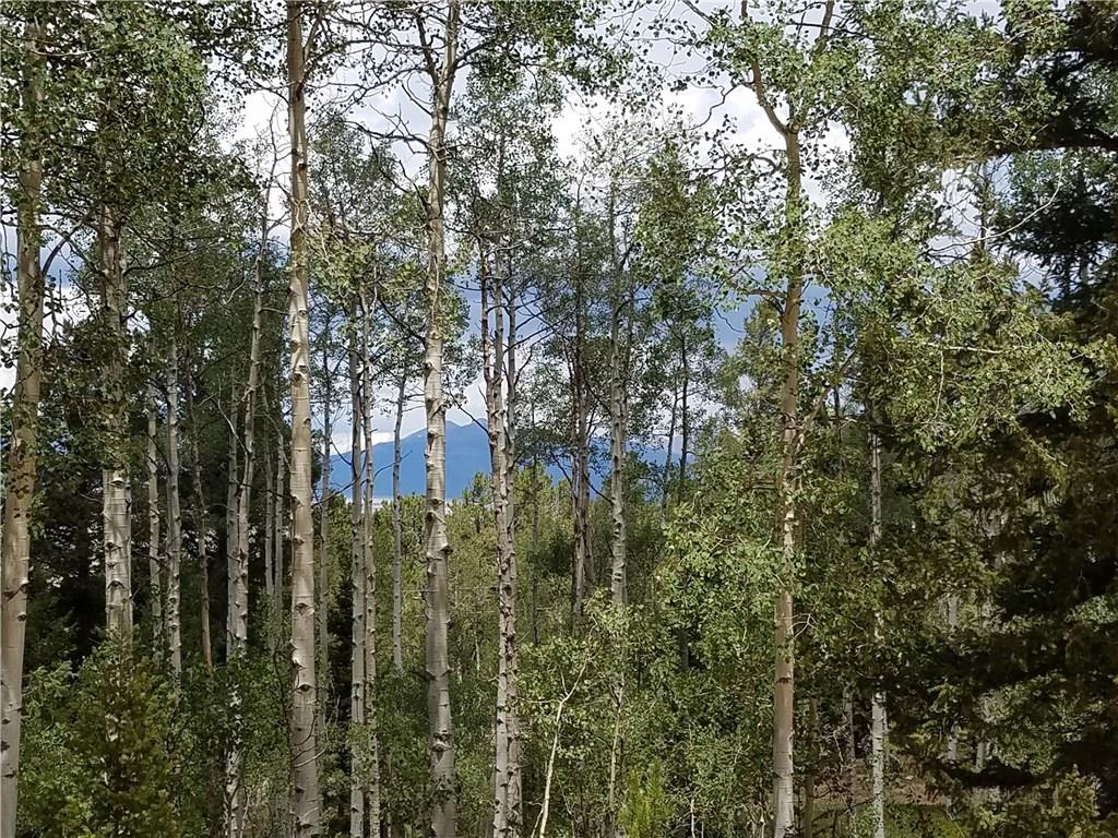 986 Osprey Road Como, CO 80432 - Photo 4 of 12 a view of a large building with lots of trees