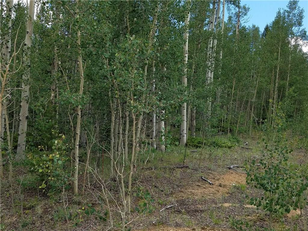 986 Osprey Road Como, CO 80432 - Photo 5 of 12 a view of a forest with trees in the background
