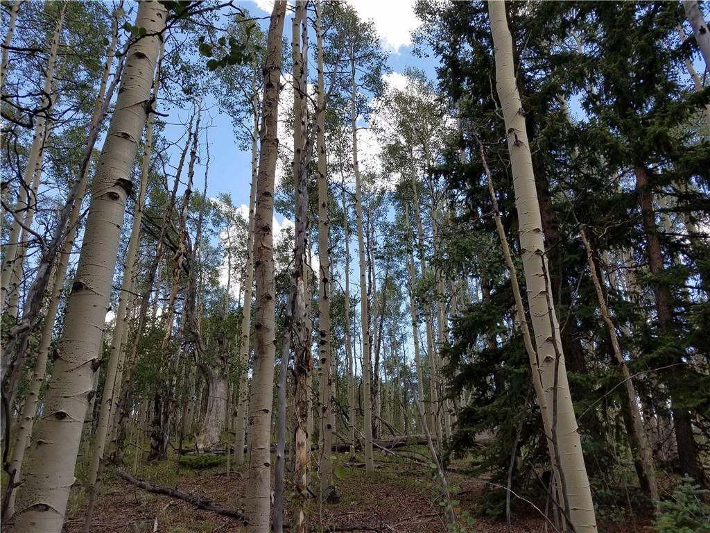 986 Osprey Road Como, CO 80432 - Photo 8 of 12 a view of a forest