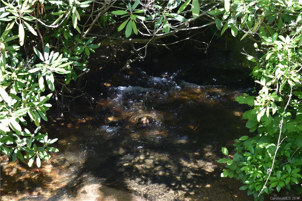 1198 Shoal Creek Road Balsam Grove, NC 28708 - Photo 15 of 21 Gallery Image 15