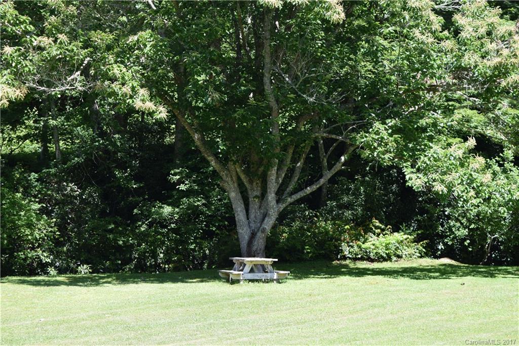 1198 Shoal Creek Road Balsam Grove, NC 28708 - Photo 5 of 21 Gallery Image 5
