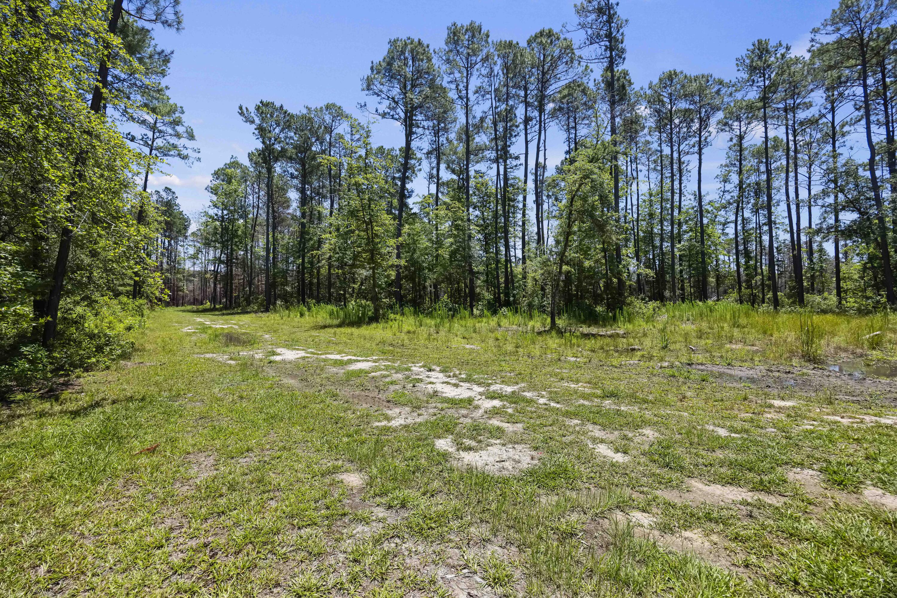543 Campbell Road Ridgeville, SC 29472 - Photo 38 of 50 CHS_2767