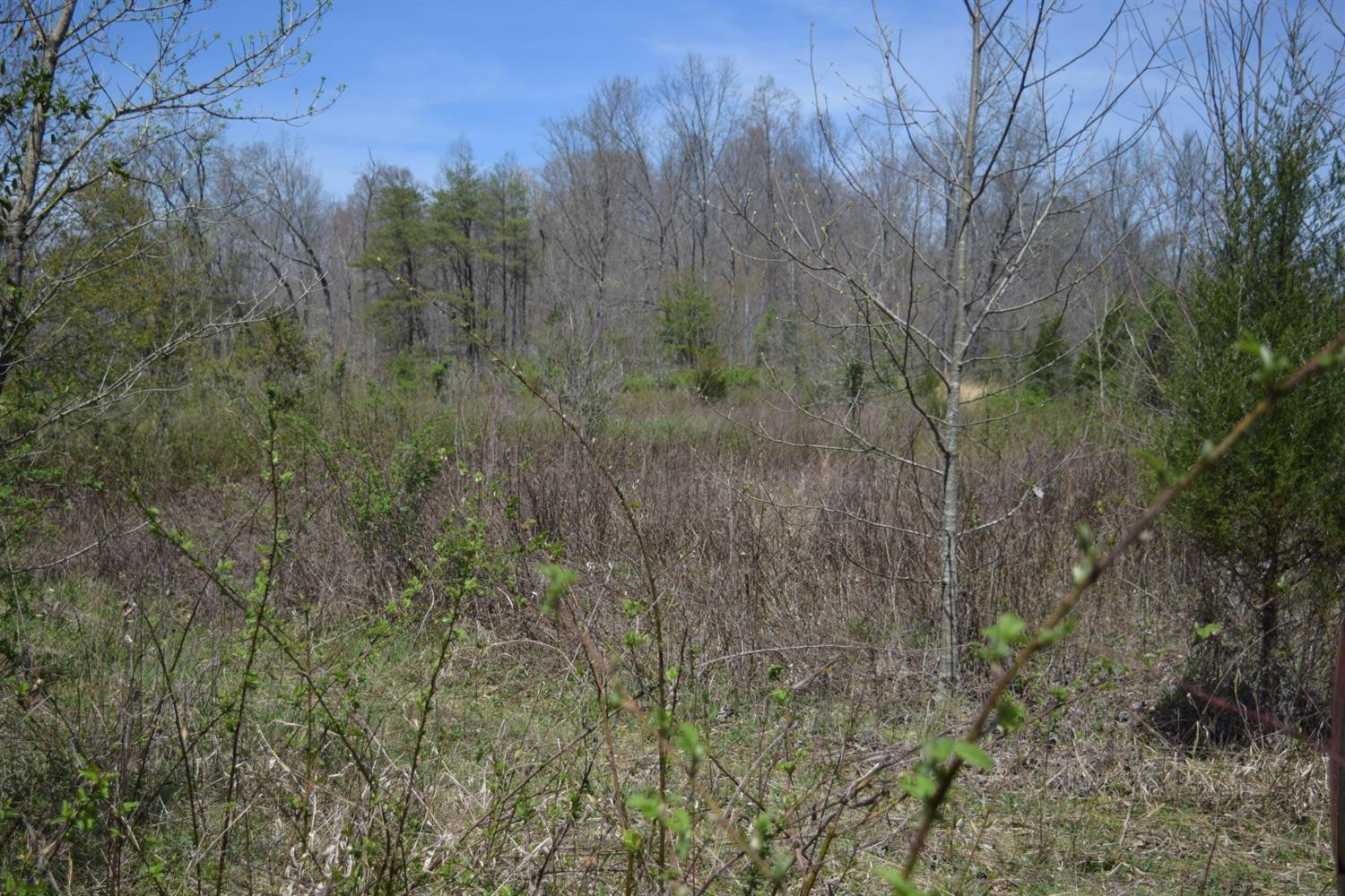 9999 Teges Creek Road Manchester, KY 40962 - Photo 8 of 32 Photo 8
