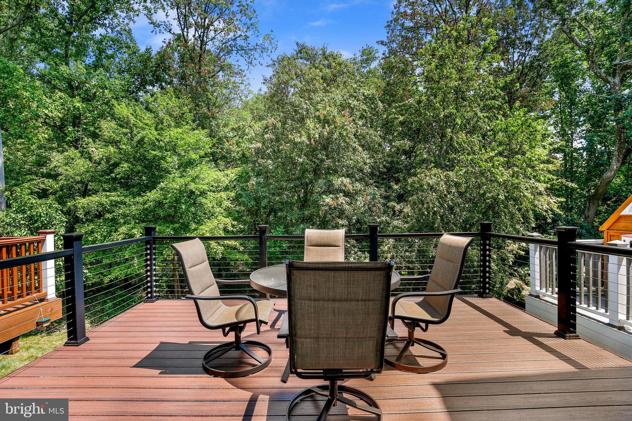13407 Fog Mist Place Silver Spring, MD 20904 - Photo 38 of 45