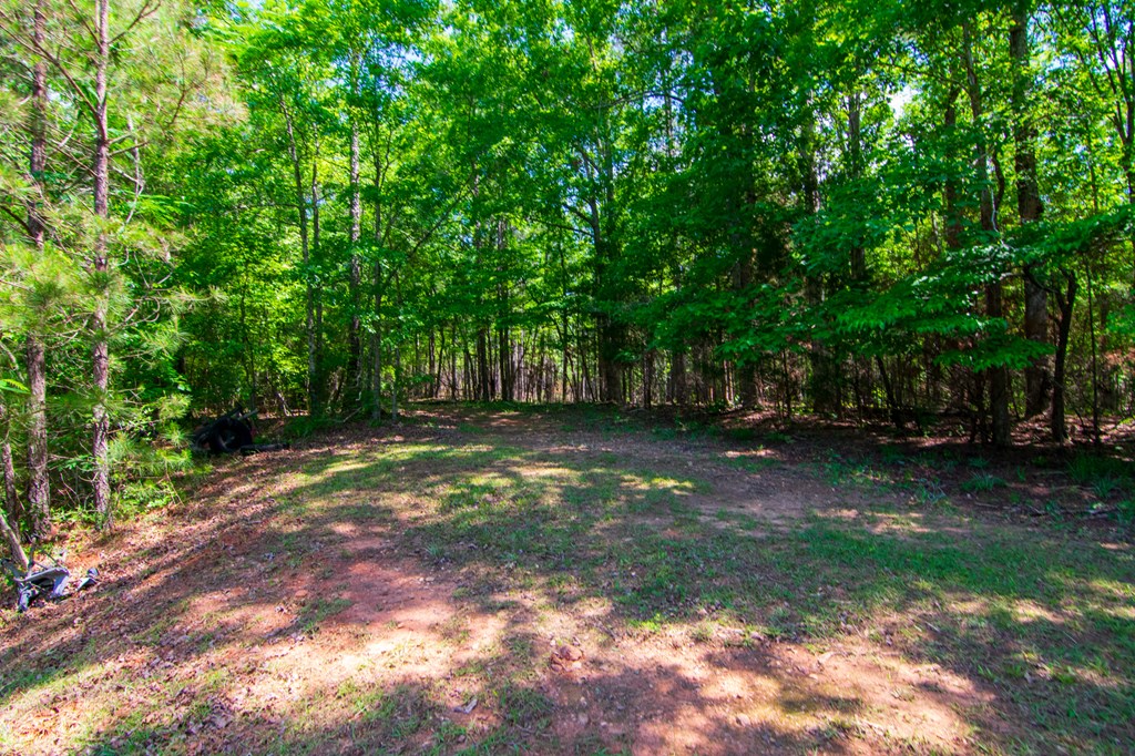998 Pine Lake Road West Point, GA 31833 - Photo 54 of 58 Gallery Image 54