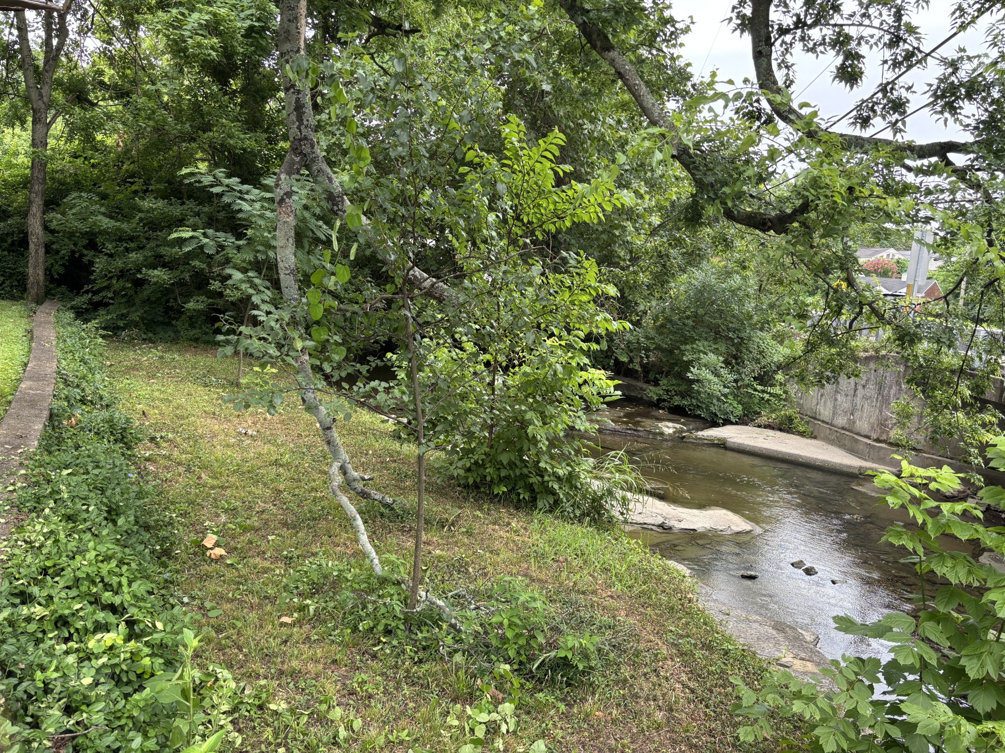 3836 Cross Creek Road Nashville, TN 37215 - Photo 14 of 15