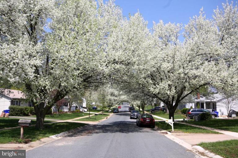 24109 Bush Hill Road Gaithersburg, MD 20882 - Photo 28 of 28 Street View