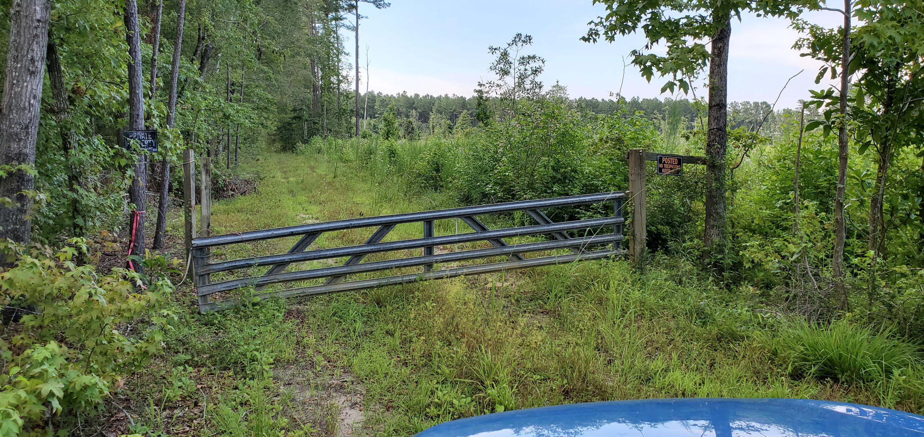 1497 Smoak Road Walterboro, SC 29488 - Photo 1 of 10 20200715_182109