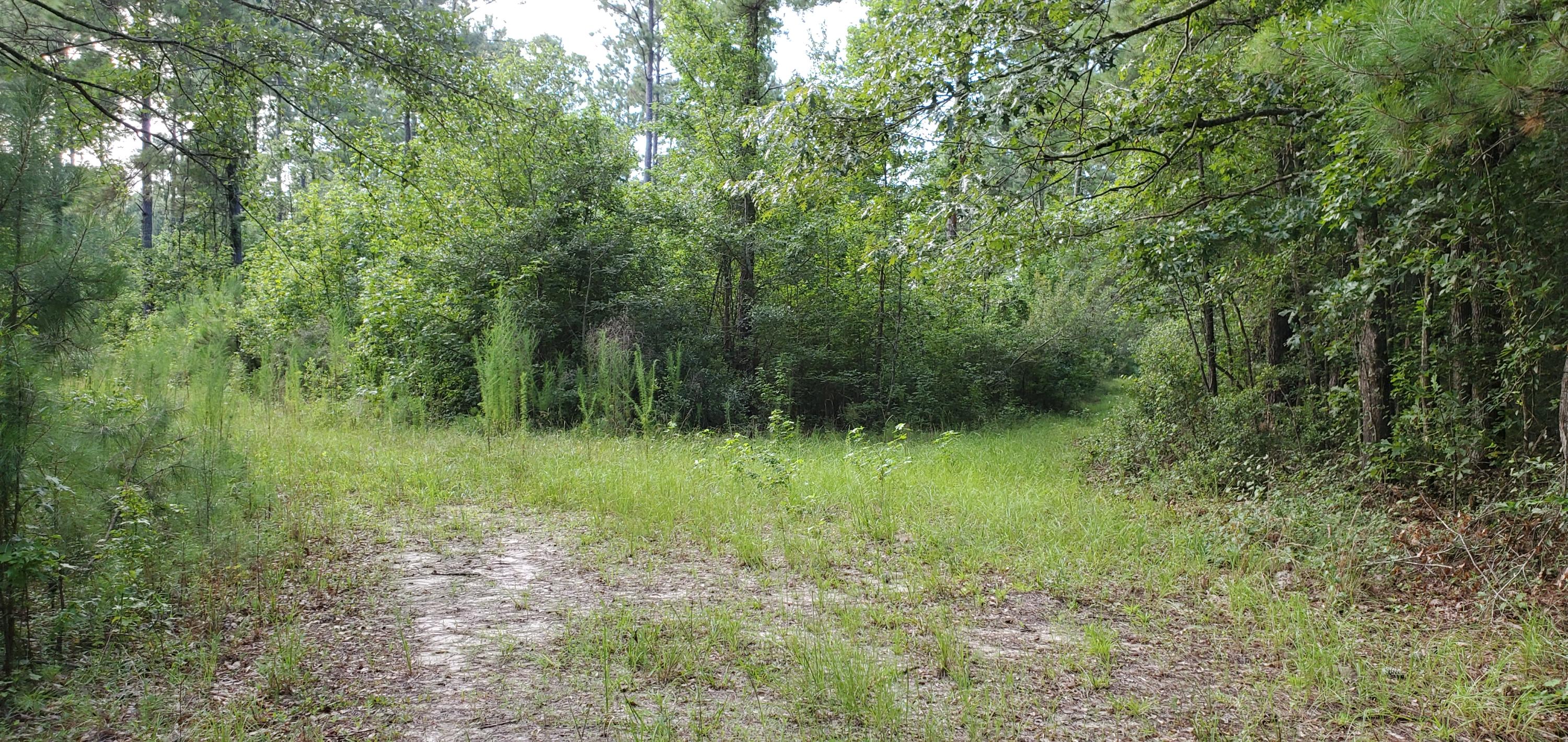1497 Smoak Road Walterboro, SC 29488 - Photo 2 of 10 20200715_182946