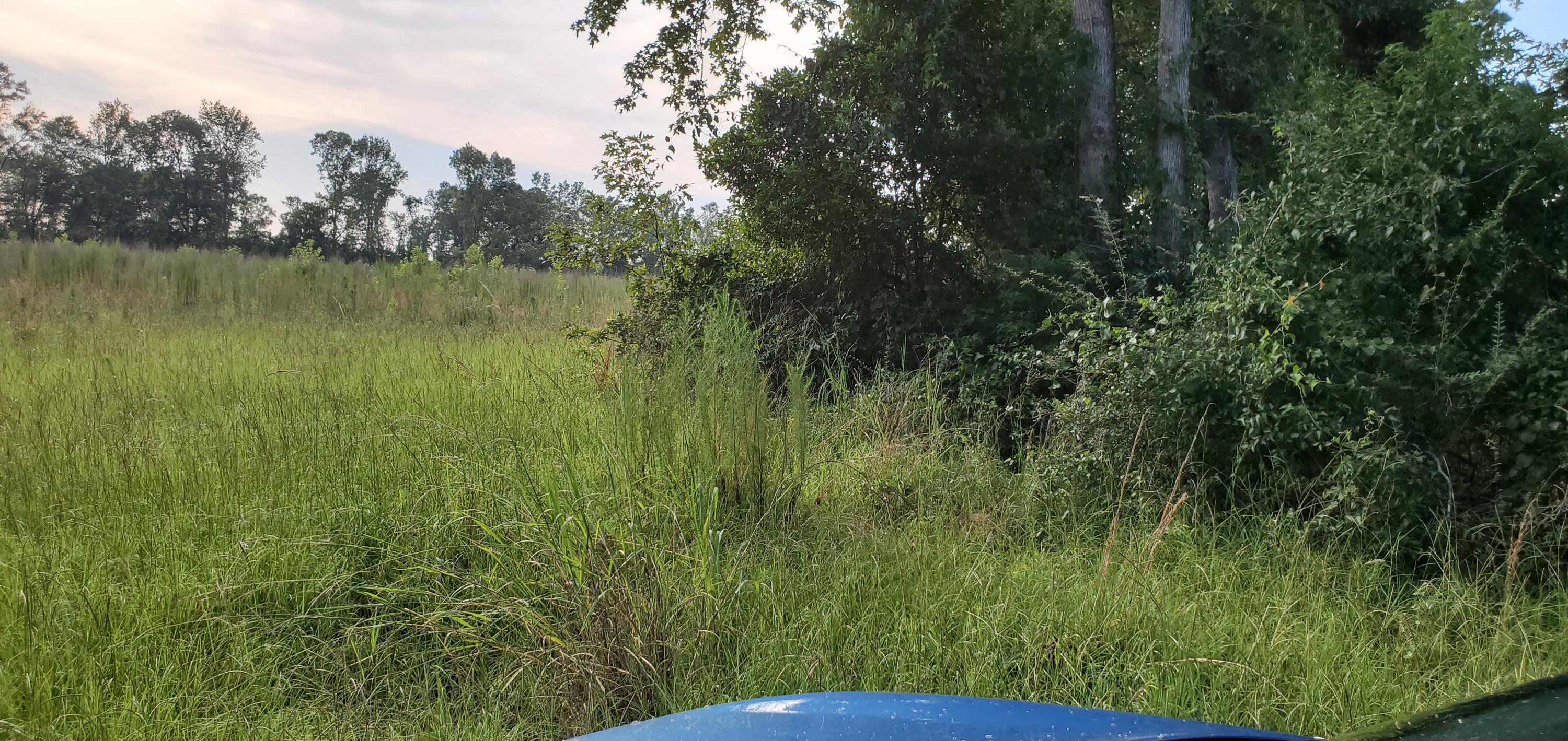 1497 Smoak Road Walterboro, SC 29488 - Photo 3 of 10 20200715_183202