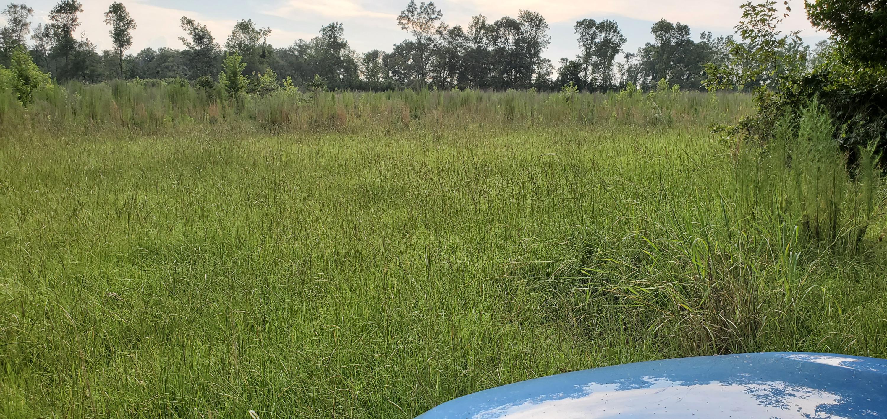 1497 Smoak Road Walterboro, SC 29488 - Photo 5 of 10 20200715_183152
