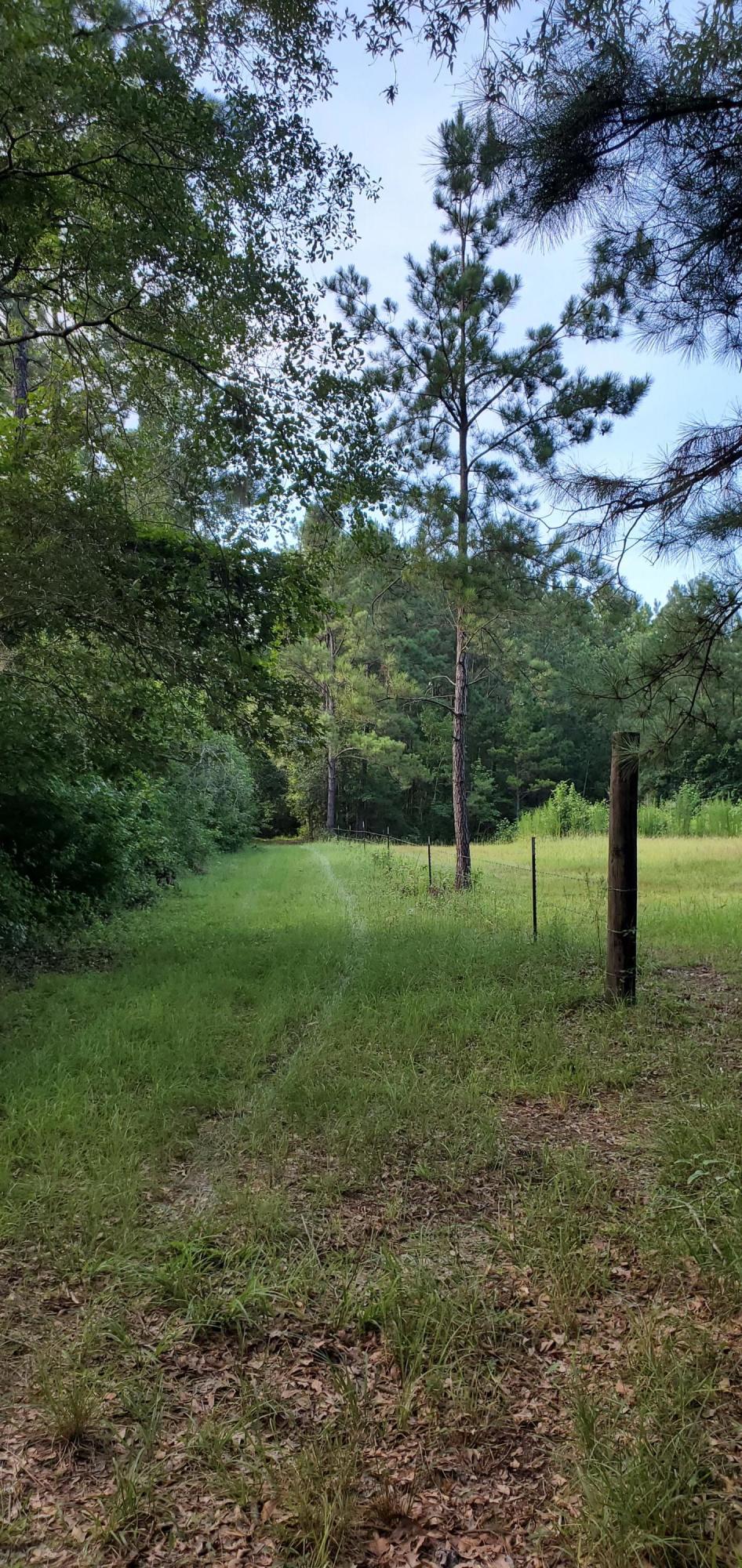 1497 Smoak Road Walterboro, SC 29488 - Photo 6 of 10 20200715_183851