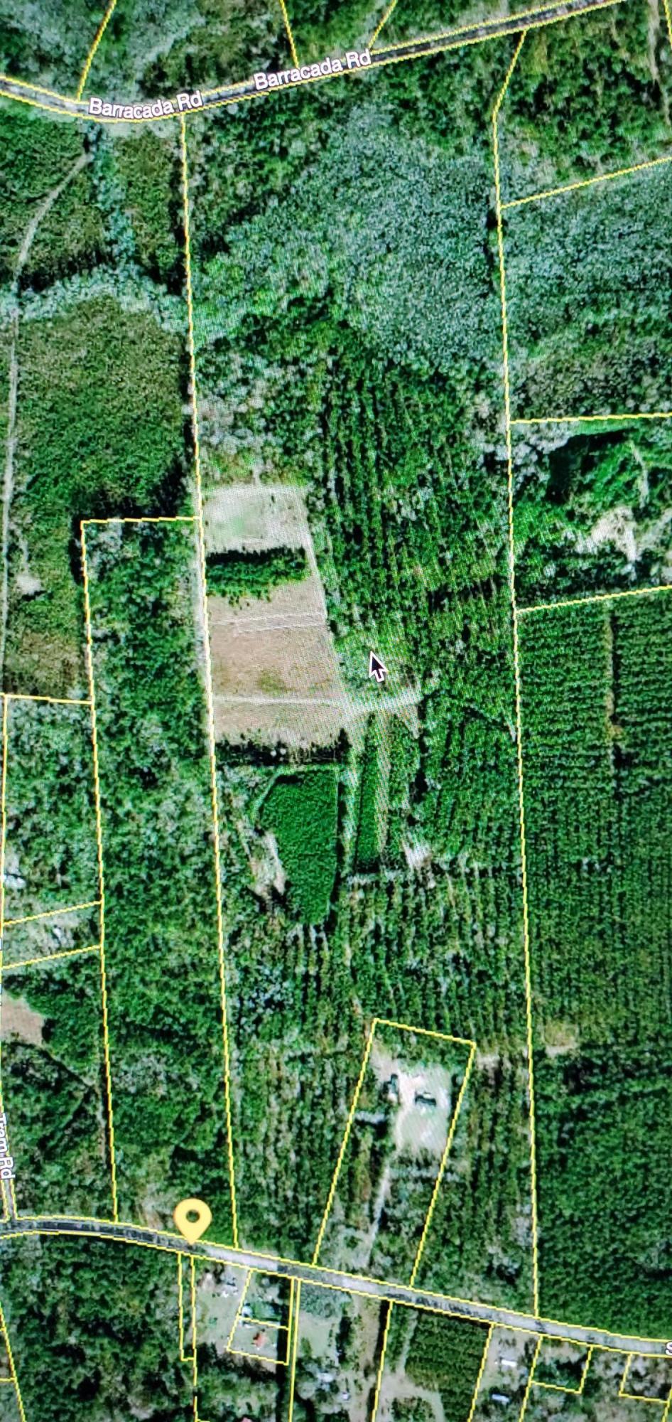 1497 Smoak Road Walterboro, SC 29488 - Photo 8 of 10 20200714_184846