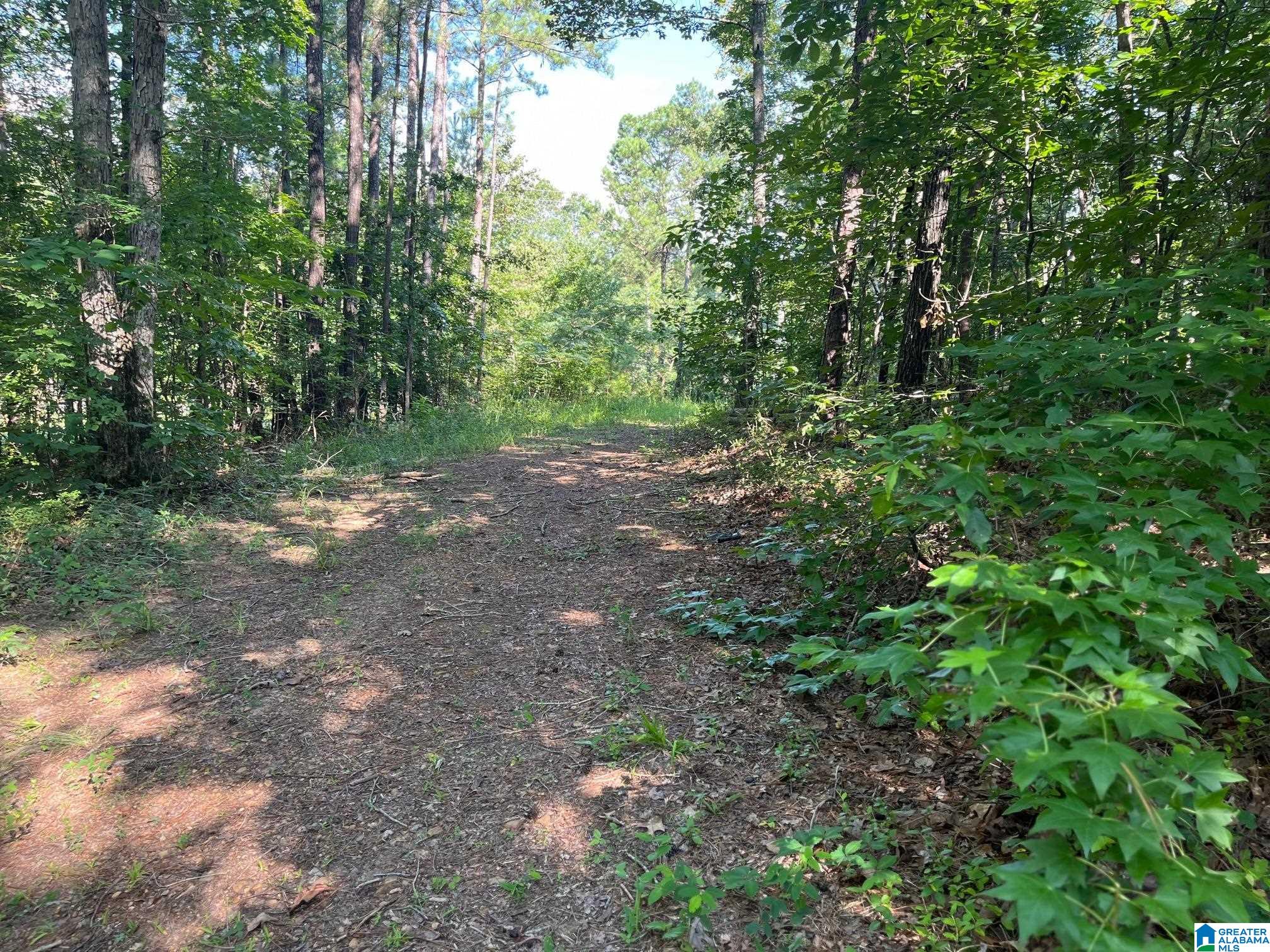 5170 Mcgowans Ferry Road Childersburg, AL 35044 - Photo 2 of 5