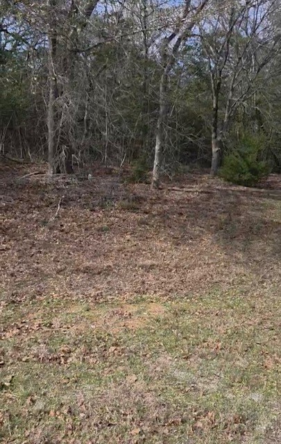 0 Fm-159 Navasota, TX 77868 - Photo 3 of 5