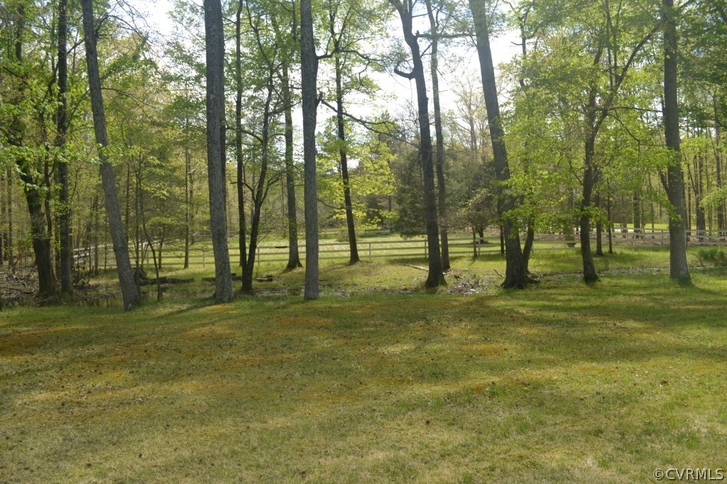 19701 Genito Road Moseley, VA 23120 - Photo 5 of 23 a view of yard with trees