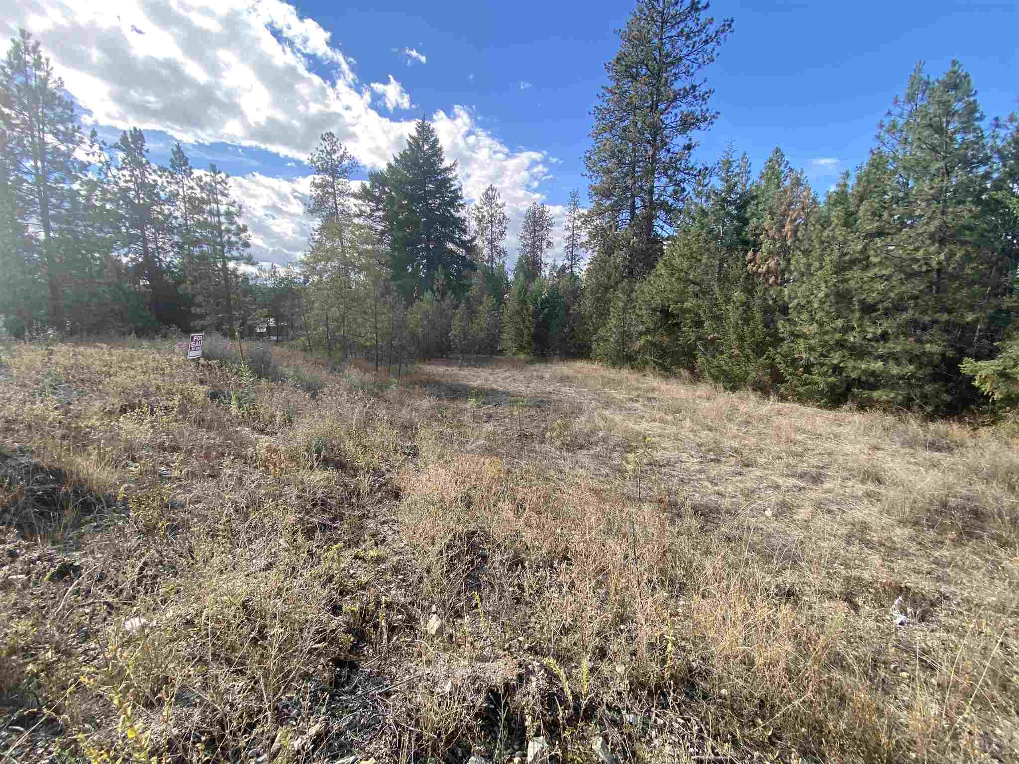 0 Sunset Bay Road Loon Lake, WA 99148 - Photo 1 of 3 Gallery Image 1