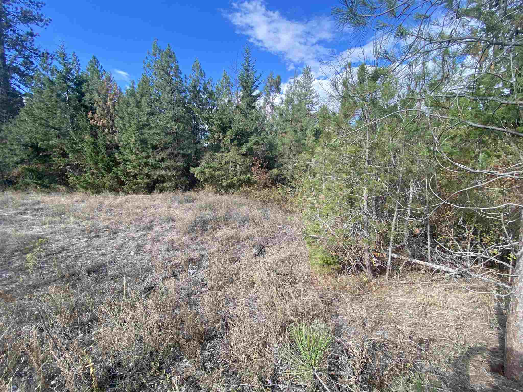 0 Sunset Bay Road Loon Lake, WA 99148 - Photo 2 of 3 Gallery Image 2