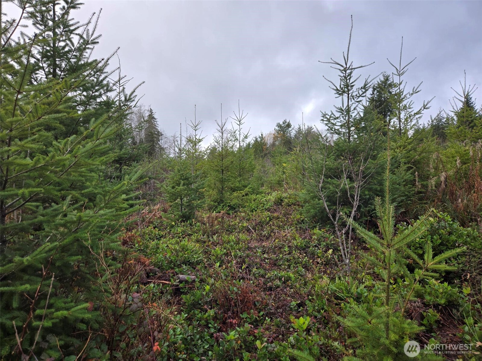 -nka Bowes Road South Hoquiam, WA 98550 - Photo 11 of 19