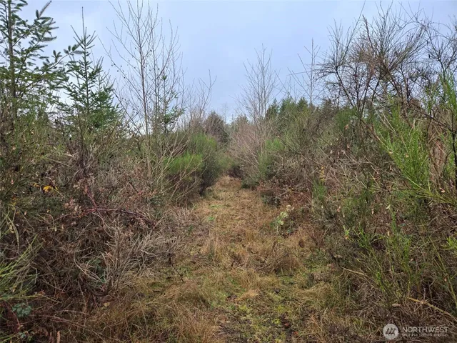 $109,000 | -nka Bowes Road South, Hoquiam, WA 98550