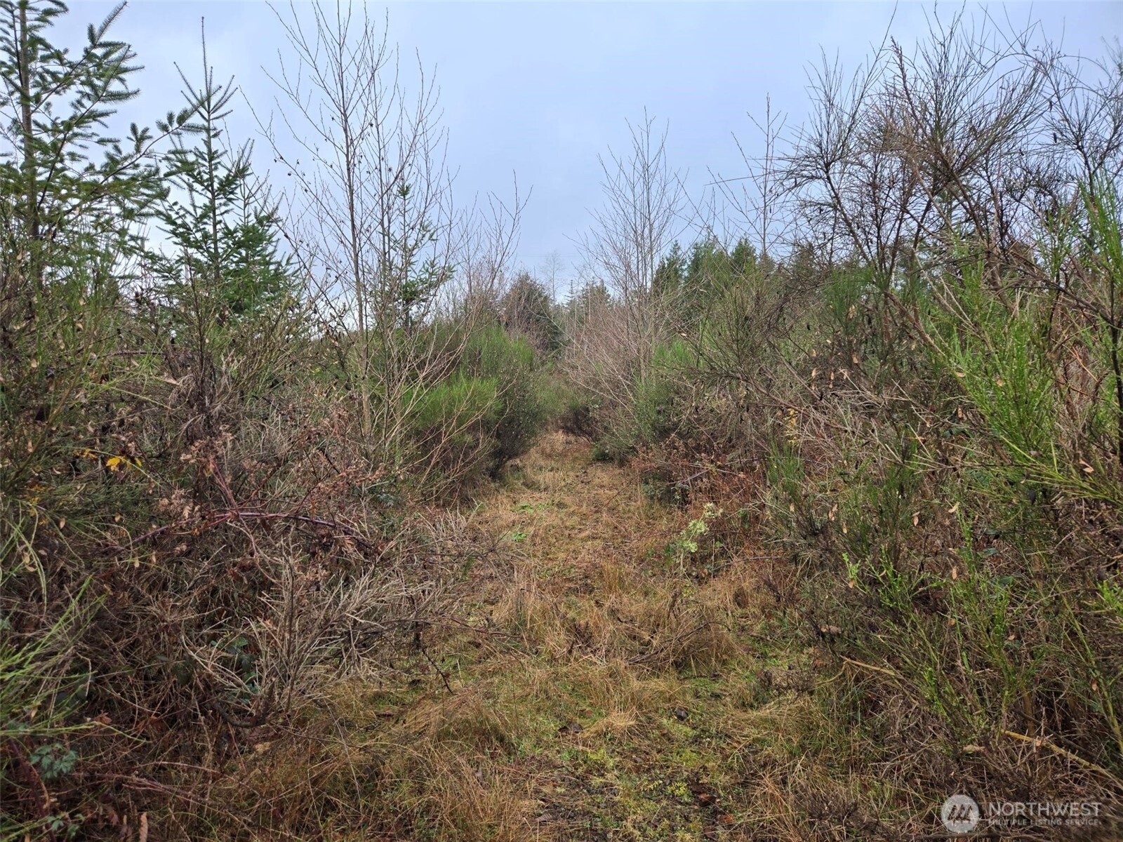 -nka Bowes Road South Hoquiam, WA 98550 - Photo 12 of 19