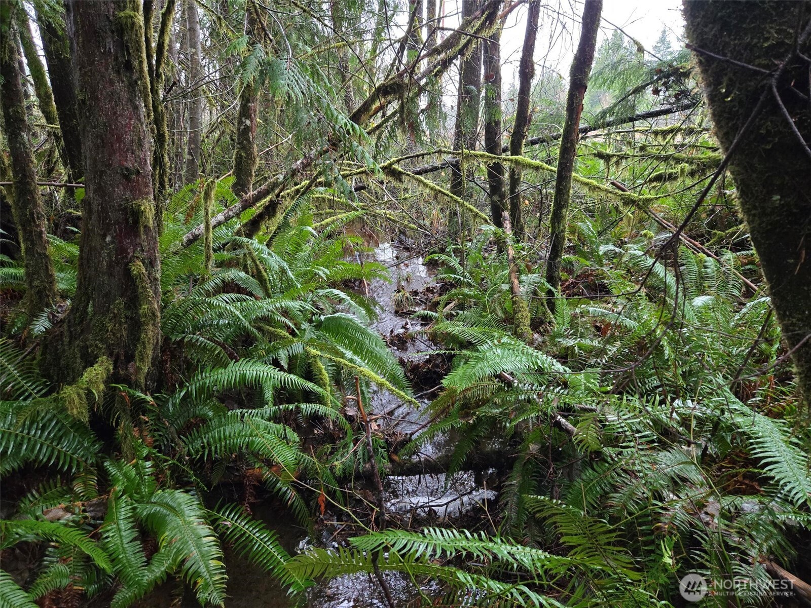 -nka Bowes Road South Hoquiam, WA 98550 - Photo 13 of 19