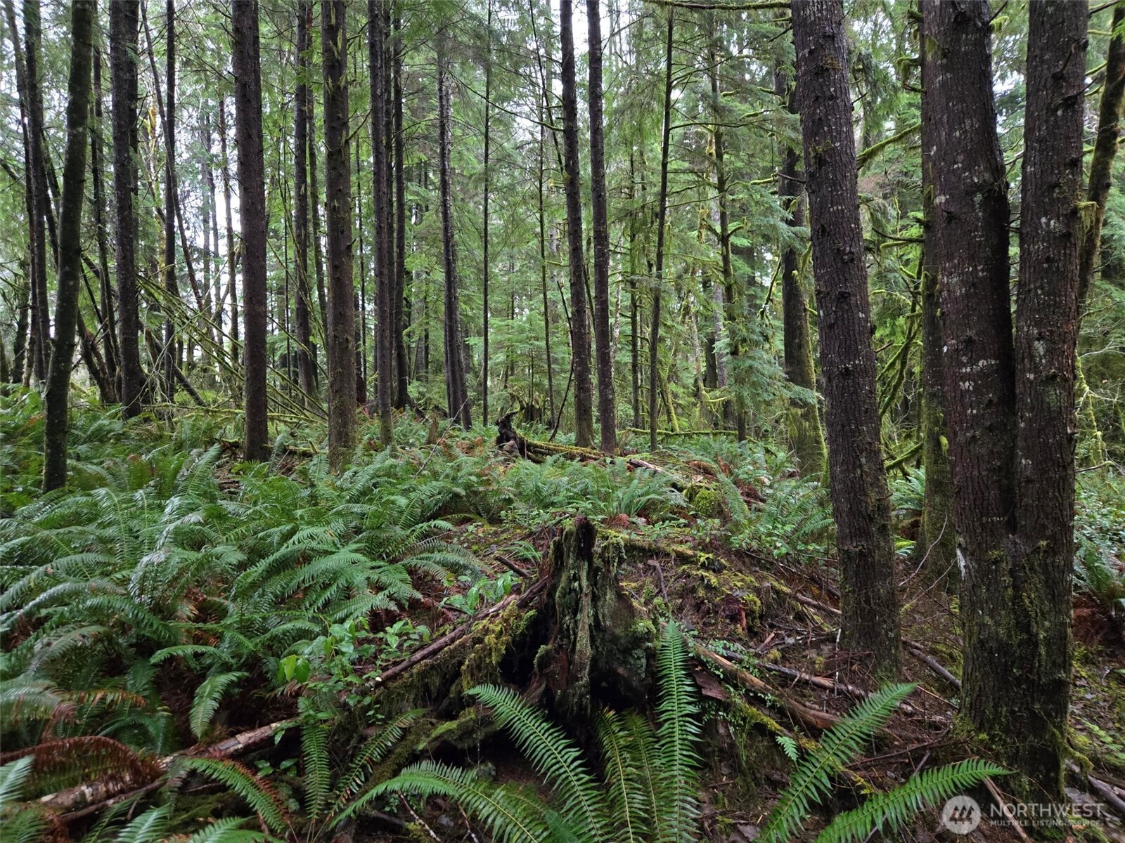 -nka Bowes Road South Hoquiam, WA 98550 - Photo 14 of 19