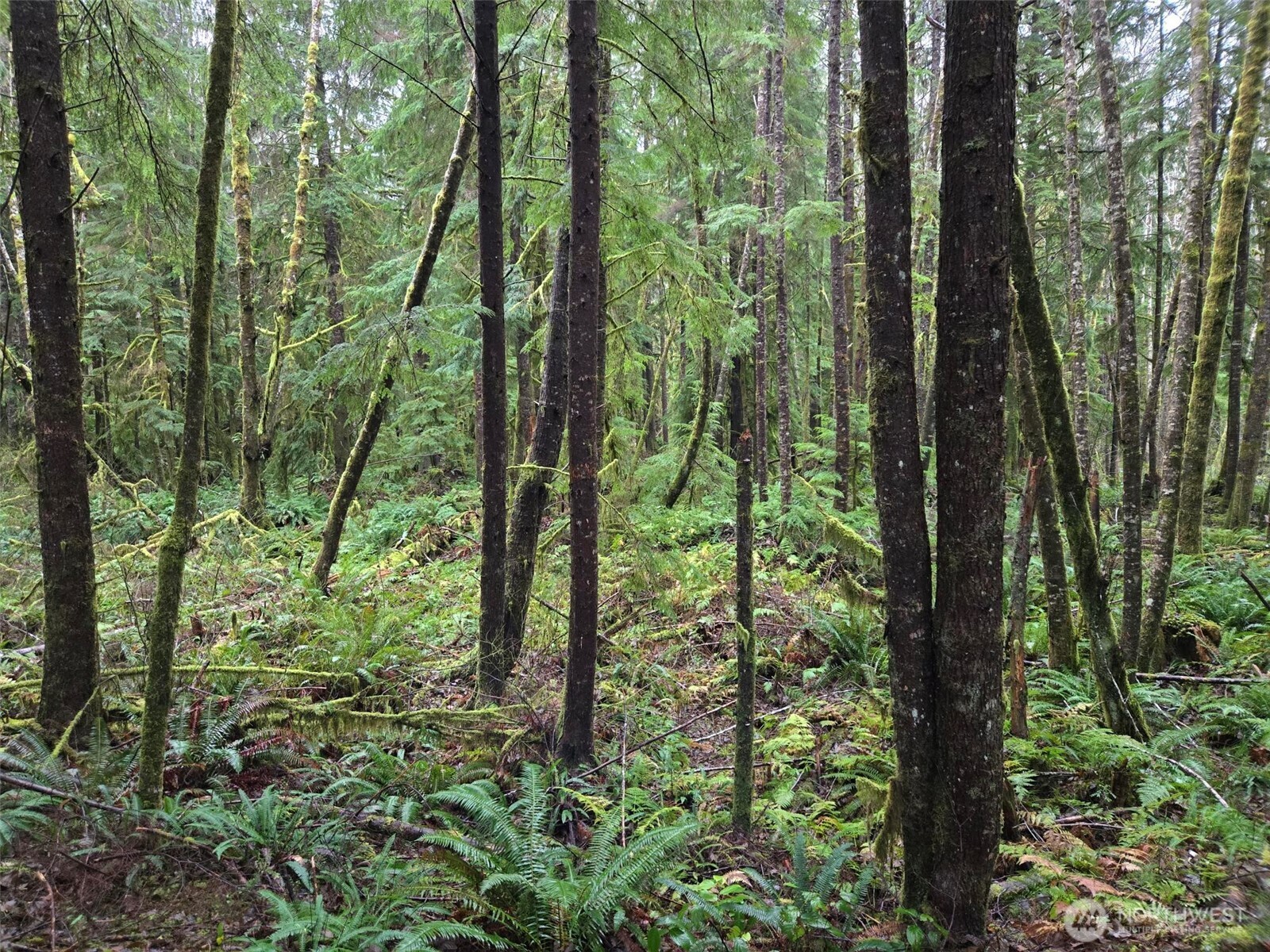 -nka Bowes Road South Hoquiam, WA 98550 - Photo 15 of 19