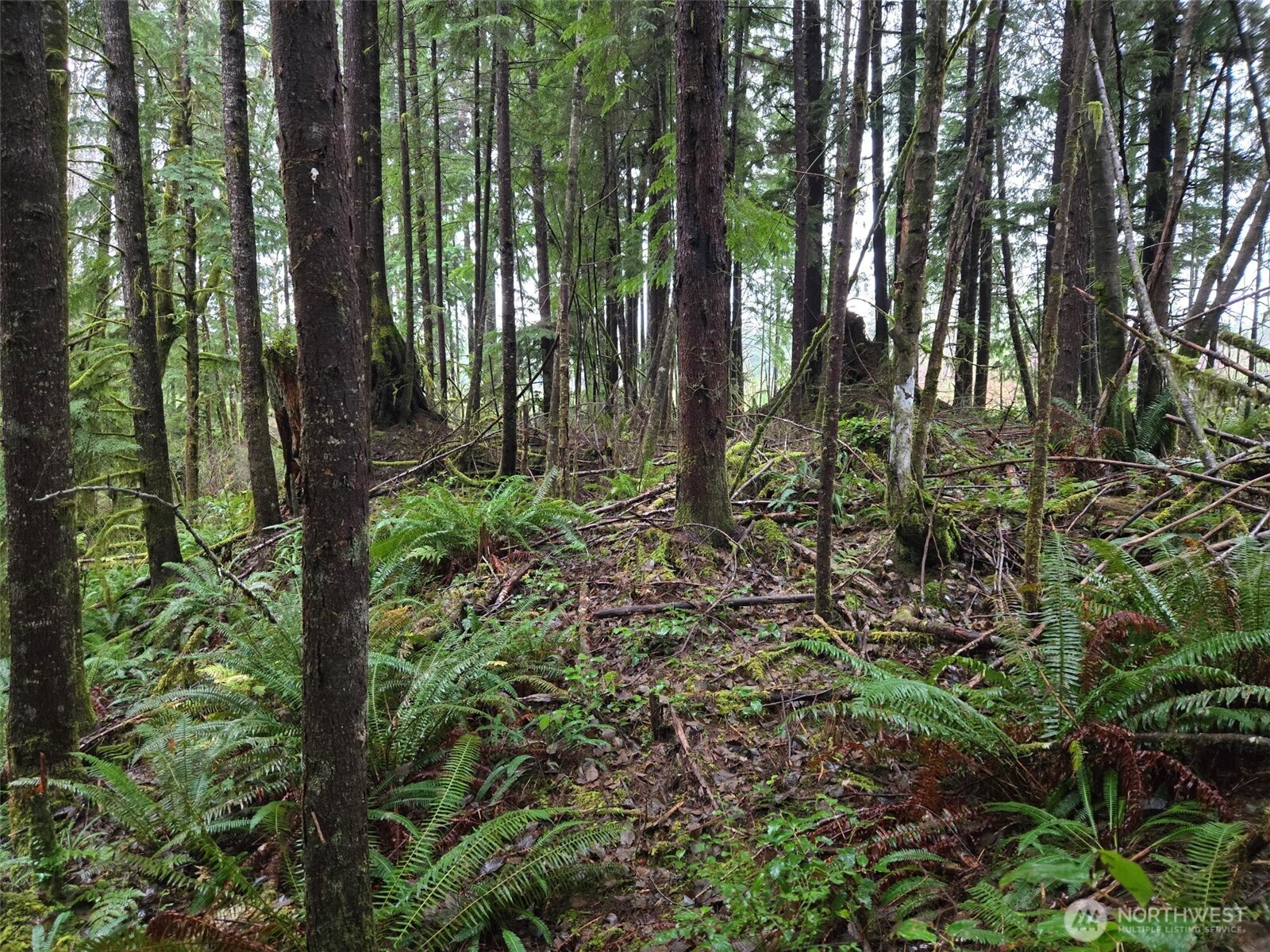 -nka Bowes Road South Hoquiam, WA 98550 - Photo 16 of 19