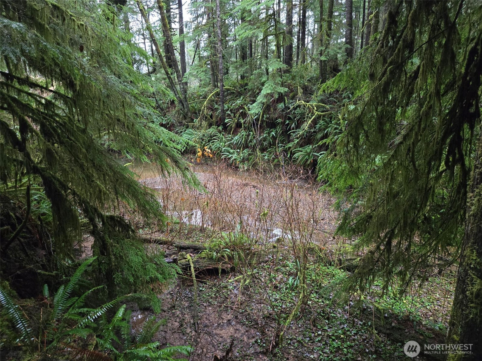 -nka Bowes Road South Hoquiam, WA 98550 - Photo 17 of 19