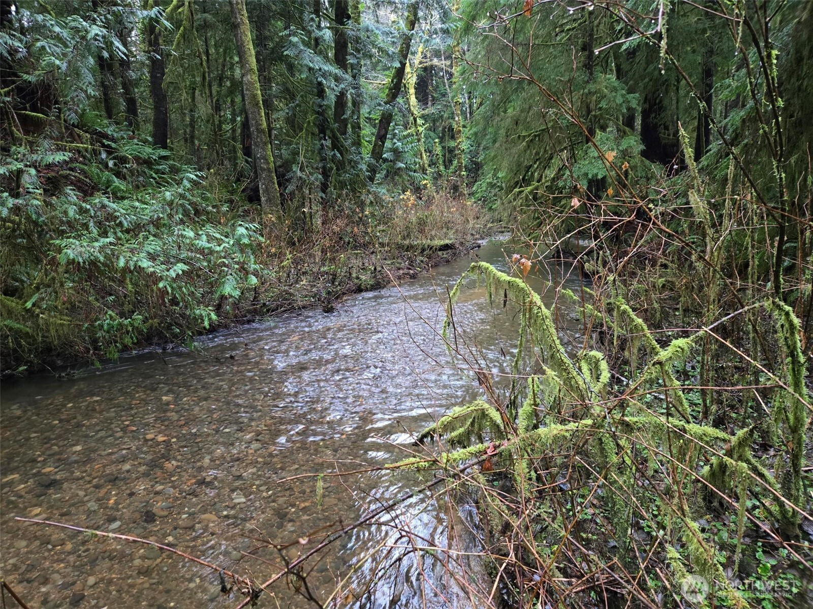 -nka Bowes Road South Hoquiam, WA 98550 - Photo 18 of 19