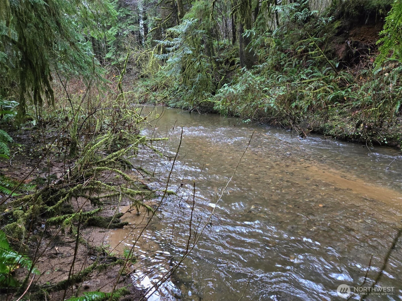 -nka Bowes Road South Hoquiam, WA 98550 - Photo 19 of 19