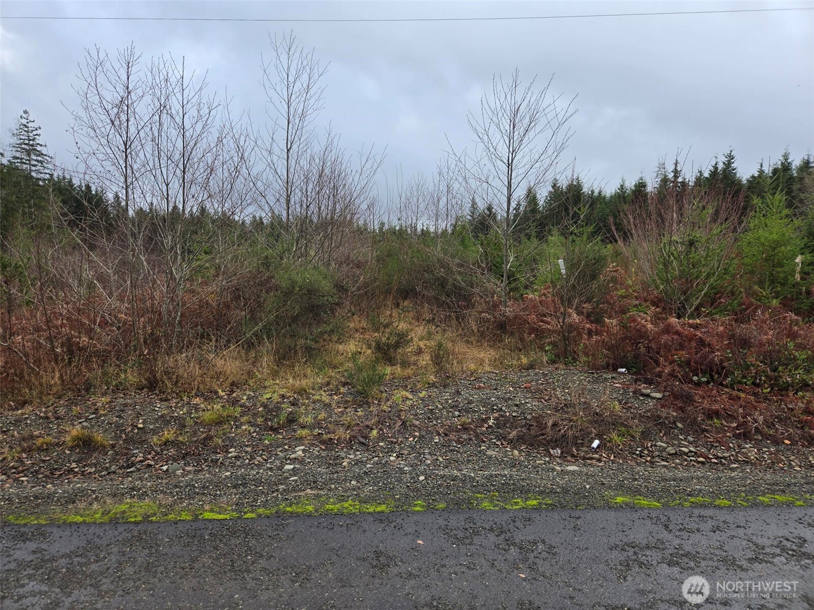 -nka Bowes Road South Hoquiam, WA 98550 - Photo 10 of 19