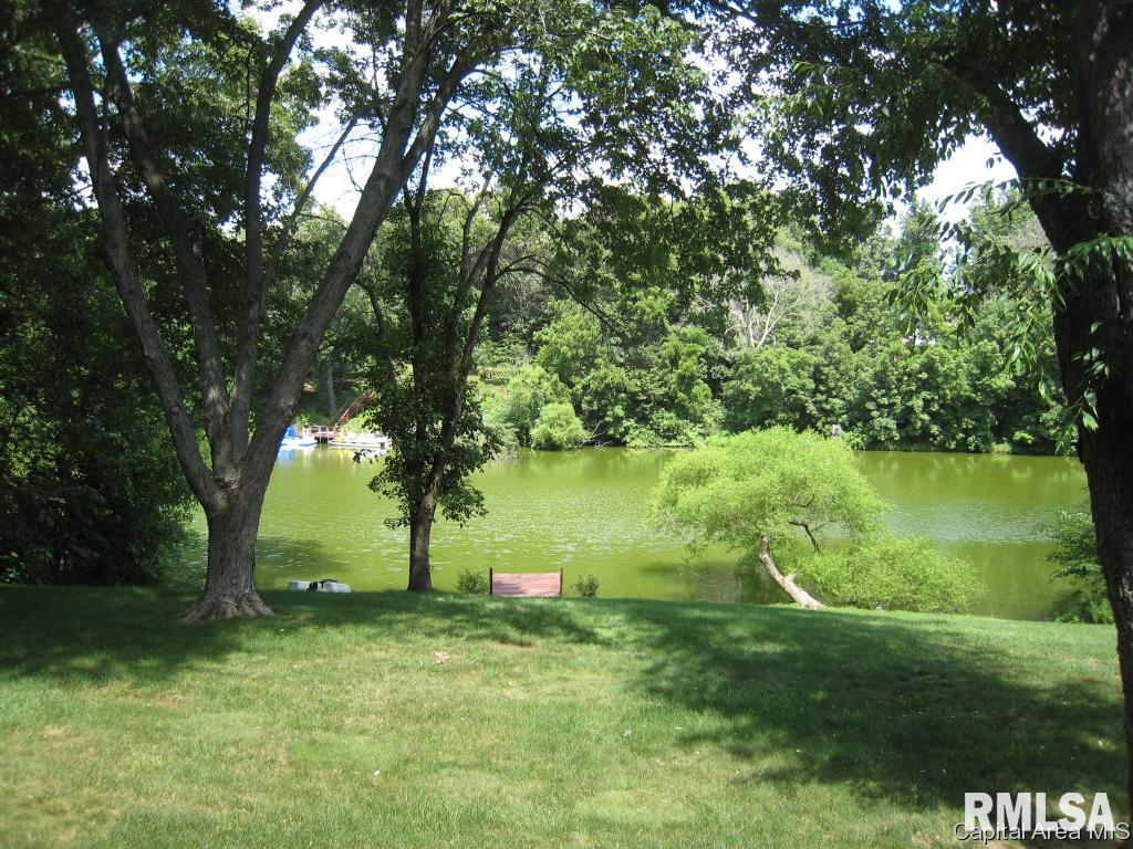47 Frontier Lake Drive Springfield, IL 62707 - Photo 25 of 31