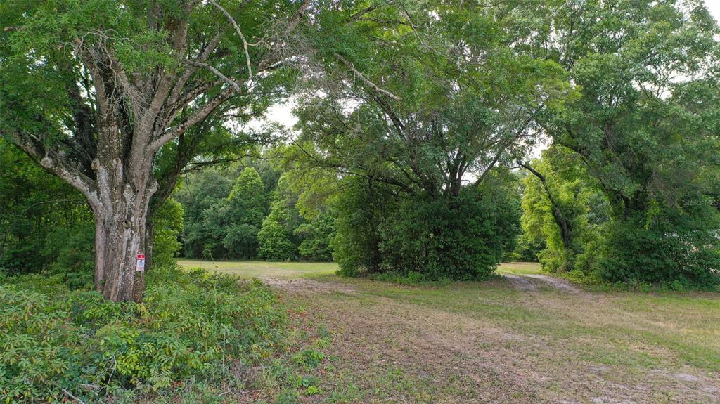 14815 Sherrod Croft Road Dade City, FL 33525 - Photo 11 of 12