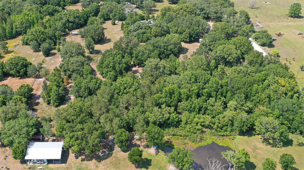 14815 Sherrod Croft Road Dade City, FL 33525 - Photo 6 of 12