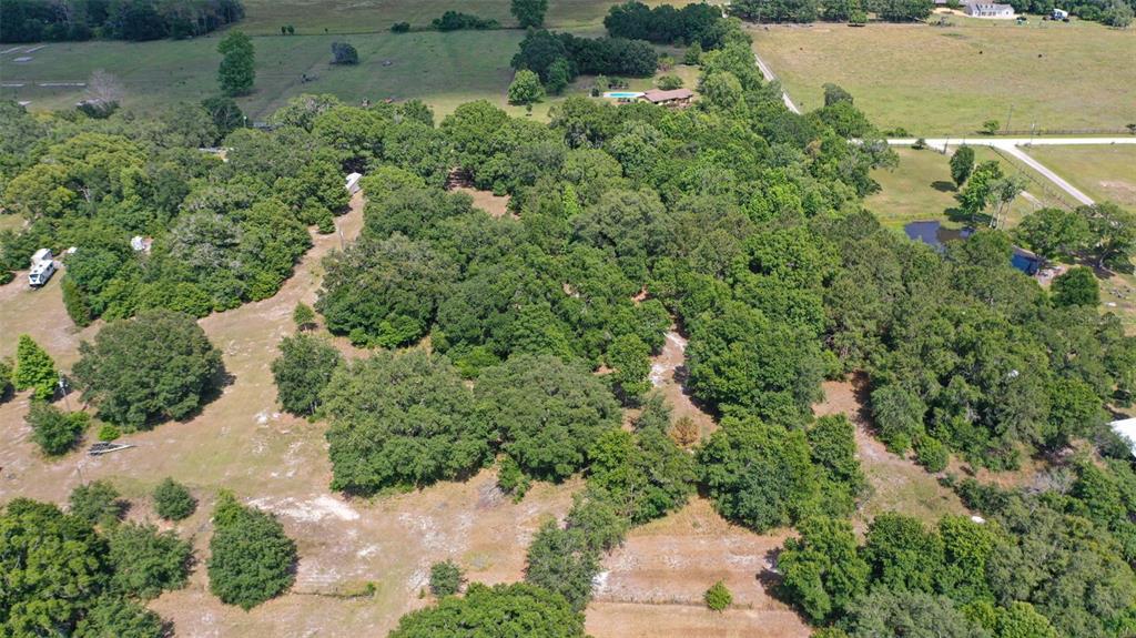 14815 Sherrod Croft Road Dade City, FL 33525 - Photo 7 of 12