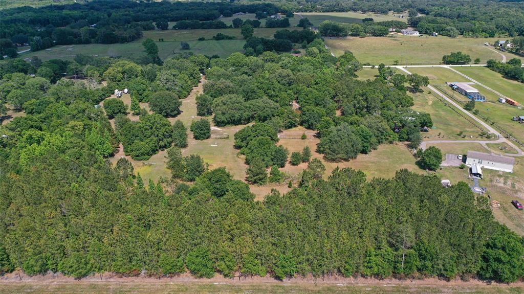 14815 Sherrod Croft Road Dade City, FL 33525 - Photo 8 of 12