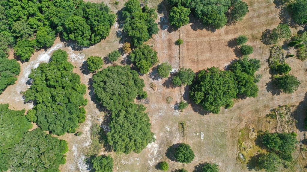 14815 Sherrod Croft Road Dade City, FL 33525 - Photo 10 of 12