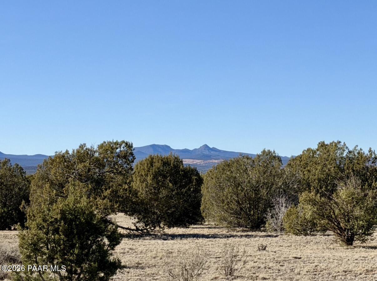5190 North Forest Line Road Williams, AZ 86046 - Photo 2 of 11 a view of a yard with a mountain