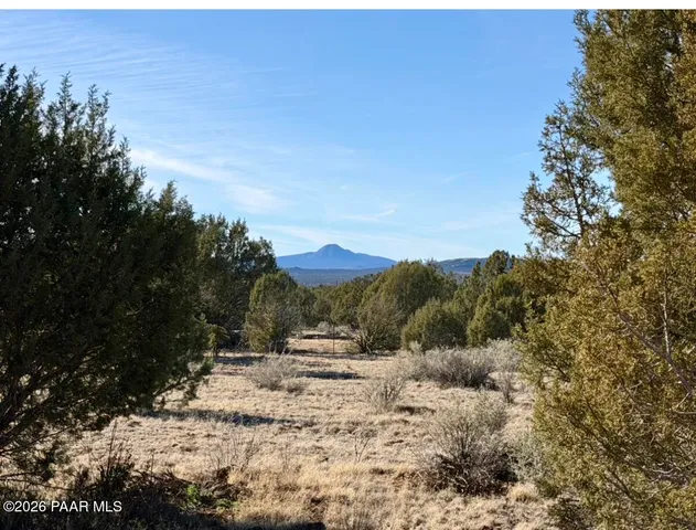 a view of road and trees