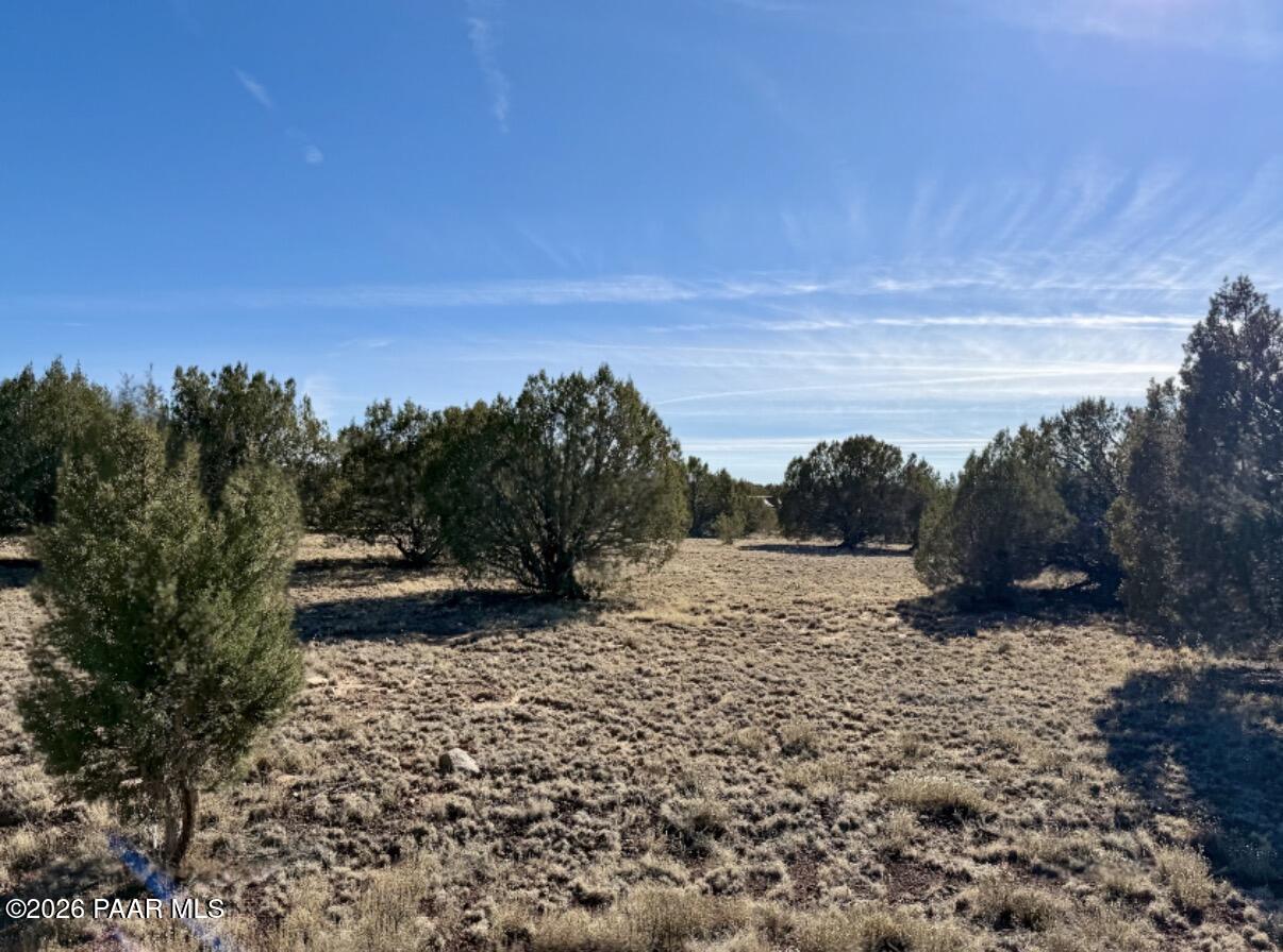 5190 North Forest Line Road Williams, AZ 86046 - Photo 6 of 11 a view of a yard