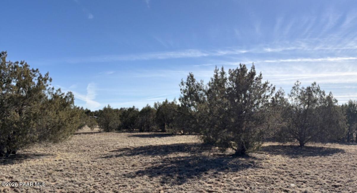 5190 North Forest Line Road Williams, AZ 86046 - Photo 7 of 11 a view of a yard with trees in the background