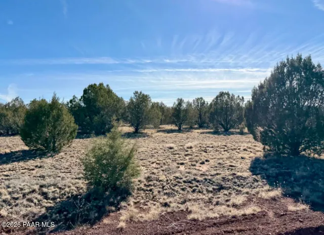 a view of a road with a yard