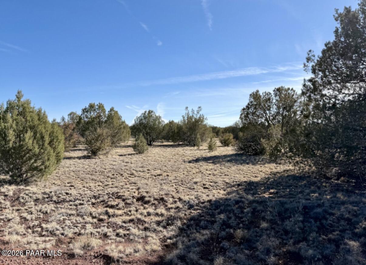 5190 North Forest Line Road Williams, AZ 86046 - Photo 9 of 11 a view of a dry yard with trees