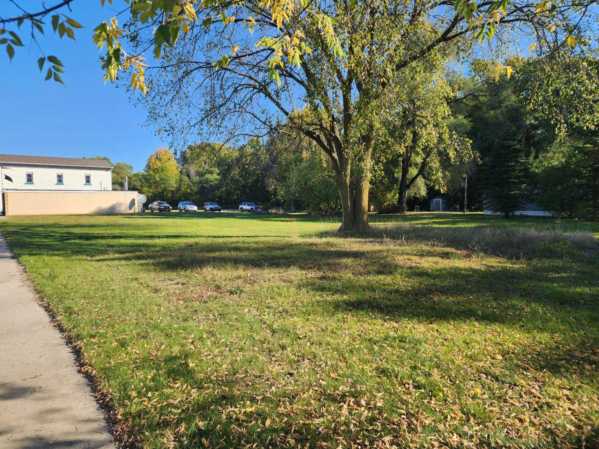 Tbd North Lumberjack Road, Unit PINE STREET Riverdale, MI 48877 - Photo 4 of 6