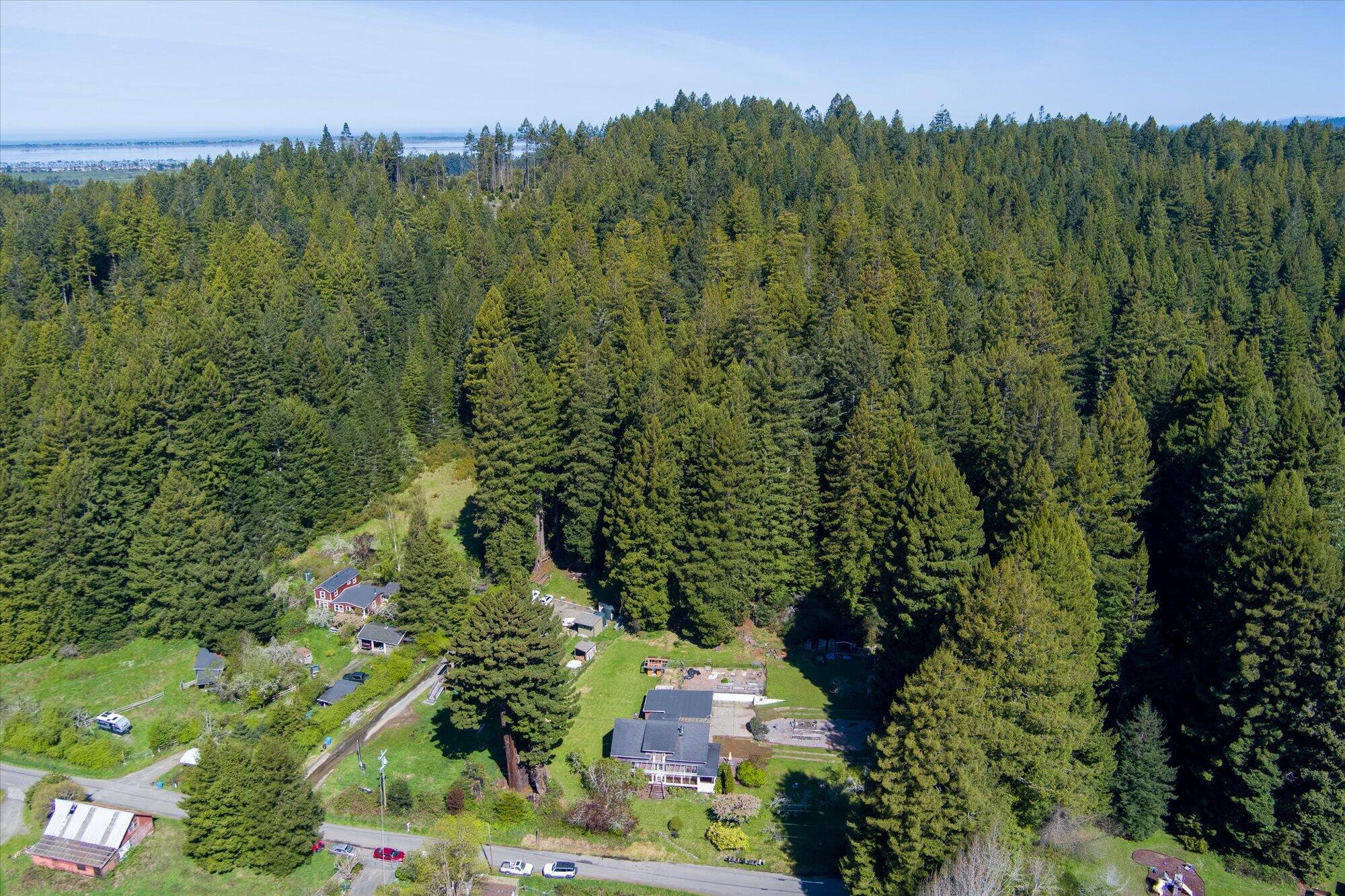 581 Redmond Road Freshwater, CA 95503 - Photo 75 of 78