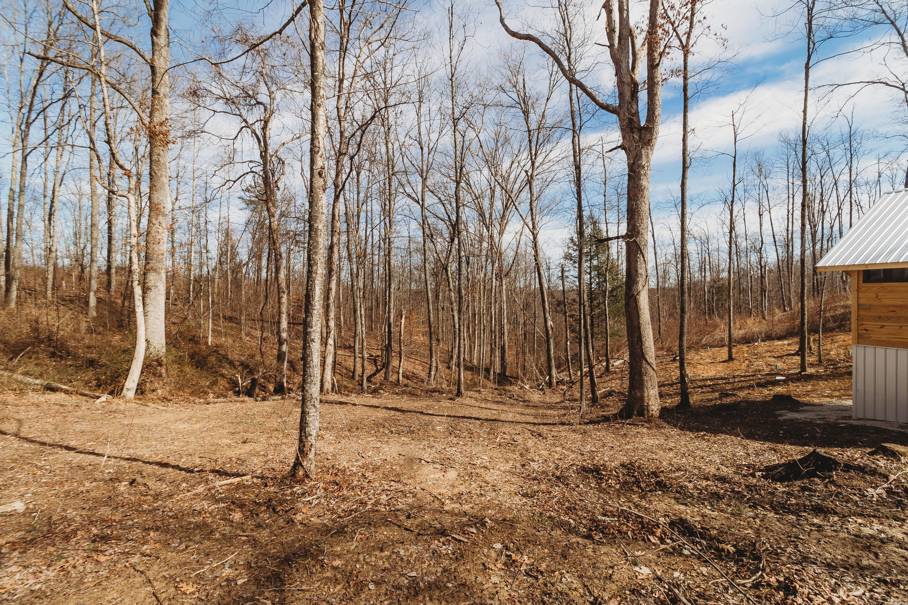4479 Amos Ridge Road Frenchburg, KY 40322 - Photo 30 of 30 FO7A8579