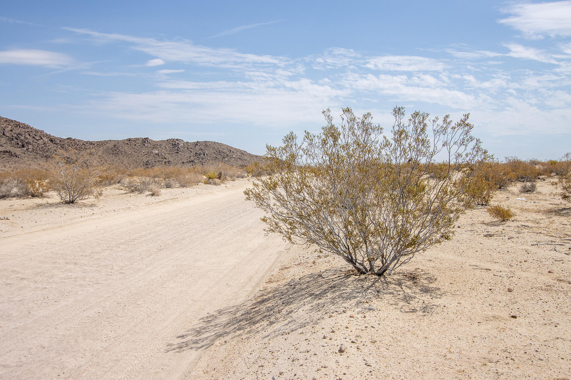 0 Celeste Road Joshua Tree, CA 92252 - Photo 17 of 26 a view of ocean